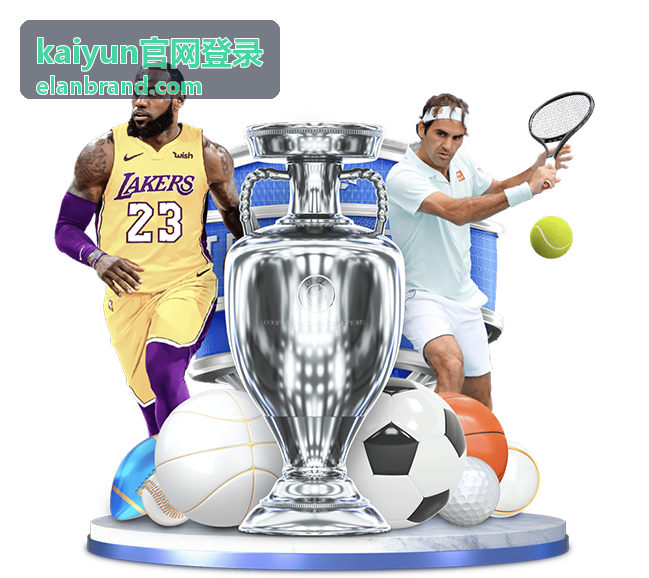 kaiyun官网登录网页端登录流程界面示意