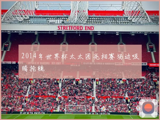 2014年世界杯太太团亮相赛场边吸睛抢镜